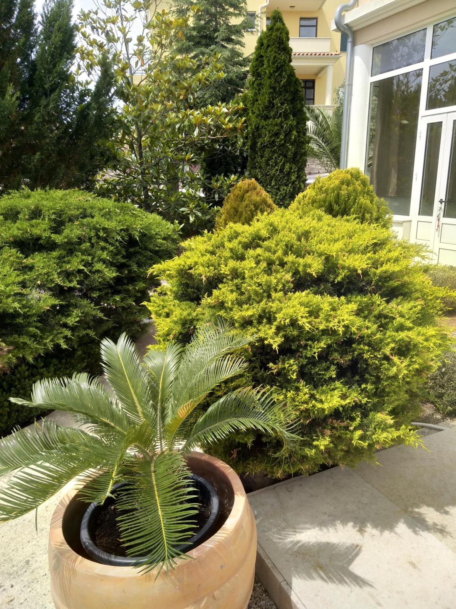 Villa Gregovica Pula Zimmer foto